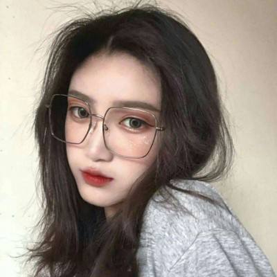 抓个小动物最新版